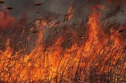 По факту пожара в Борзинском районе возбуждено уголовное дело
