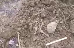 Кости древнего человека, найденные в Кокуе. С...