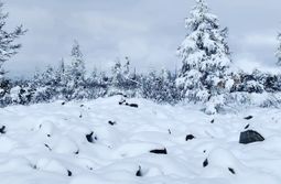 Нежданно-негаданно снег выпал в Каларском рай...