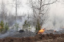 На территории Забайкалья действуют 12 пожаров