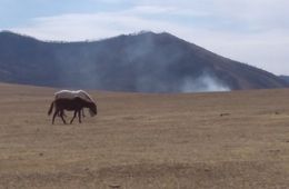​Степь горит вблизи охранной зоны Сохондинского заповедника в Кыринском районе