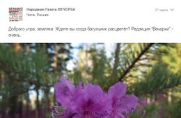 Gazetavechorka.ru сообщает
