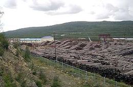 Маньчжурский монстр сожрет остаток забайкальской тайги