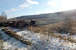Шаман из Челутая: «Китайцы прогневали наших богов»