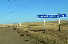 Уже 11 жителей Красного Великана убиты китайским спиртом