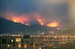 Дождь, пожары и невнятные оправдания вице-премьера Чупина
