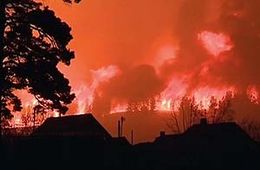 Жители Большой Туры устали ждать Ильковского и обратились к Путину