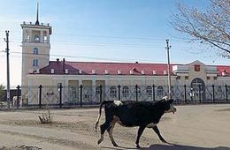 В Забайкальске построят терминал для перегрузки мяса