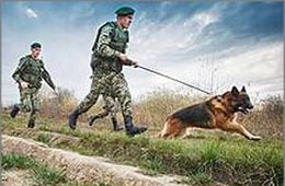 Границу России с Монголией теперь надежно охраняют казаки с собаками
