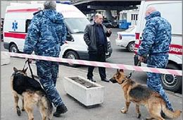 Телефонной  террористкой в Чите оказалась медсестра  - мать троих детей