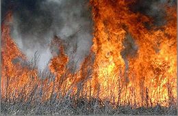 Степной пожар угрожает Забайкальску