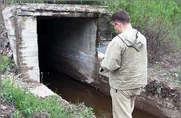 В могочинской воде можно найти не только пиявок-мутантов, но и червей
