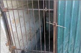 Бомжи подожгли народную «Вечорку»
