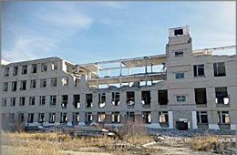 День выборов-2016: Сход граждан в Ясной закончился мордобоем