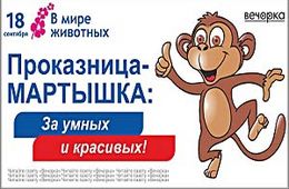 «Руки прочь!»: Неизвестные срывают рекламные баннеры «Вечорки»