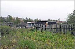 Девочка, пострадавшая в агрогородке «Опытный» в Чите скончалась