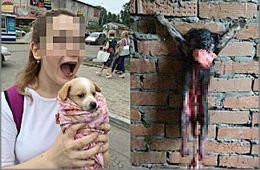 Одна из хабаровских живодёрок едет в Читу