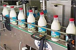 В молочной продукции компании «Вимм-Билль-Данн» обнаружили ящур