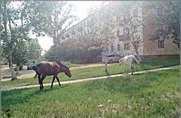 У забайкальских пенсионеров государство украло пенсии