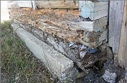 Неравнодушные граждане готовы помочь замерзающим детям в Кадале