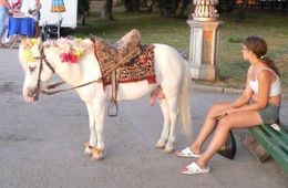 Журналист «Вечорки» работает в зоопарке в Москве