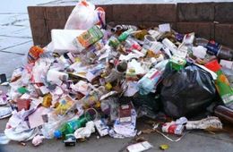 Чита на грани мусорной войны – с рынка услуг по вывозу мусора вытесняют одного из главных игроков
