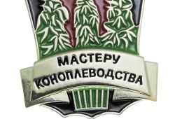 В Забайкалье начинают активно развивать коноплеводство