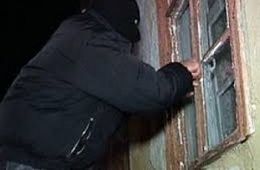 Дачный воришка пойман