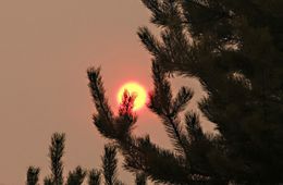 Забайкалье два дня будет пребывать во власти шторма