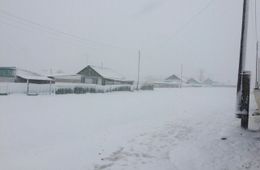 Забайкалье в майском снегу. Зима вернулась, но ненадолго.
