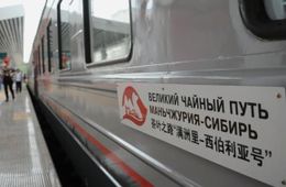 Страусиная ферма и парк ОДОРА  - единственное, что смогли найти для показа китайцам