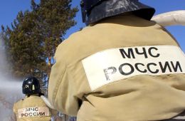 МЧС активизировались в соцсетях, чтобы предупреждать о пожарах