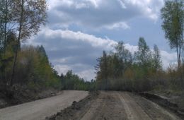 Золотая забастовка: Дорогу до Вершино-Дарасунского готовили к приезду полпреда президента