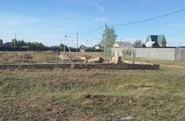В Смоленке рубят здоровый лес под бараки для сирот