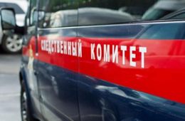 Следователи начали проверять сообщения СМИ об избиении ребёнка судьёй
