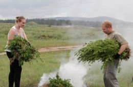 Конопляное поле сожгли под Читой