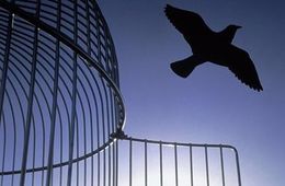 Амнистия к 100-летию Революции не коснётся революционеров, насильников и педофилов