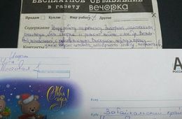 Начитанный сантехник-кулинар ищет работу