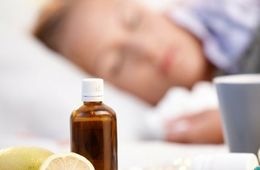 «Свиной грипп» H1N1 может вернуться в Забайкалье