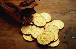 Пенсионеру из Атамановки вернули коллекцию дорогостоящих монет