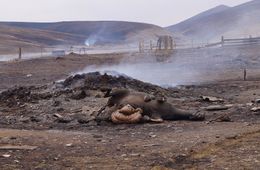Забайкальский край вновь заполыхал