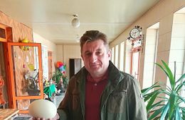 Подписчиков «Вечорки» ждут весомые денежные призы, продуктовые корзины, бензопилы, живность и… страусиное яйцо
