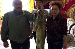 Призовой кролик добрался до подписчика «Вечорки» в Ортуй