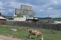 Шахтеров Дарасунского рудника осматривают медработники