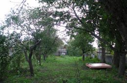 Жители Воронежской области предложили переехать пострадавшим от паводка забайкальцам к ним в село