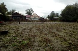 Компенсации от паводка сельхозпредприятиям поступят в край в конце года