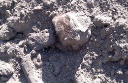 Школу в Большой Туре строят на месте старого кладбища