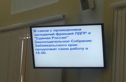 Единороссы намерены протащить бюджет с помощью ЛДПР