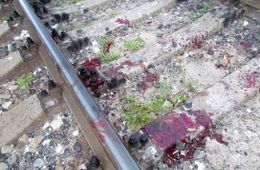 Пьяного жителя Хушенги сбил поезд