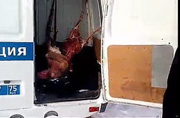 Браконьера из Балея задержали в Оловяннинском районе с тушей дзерена